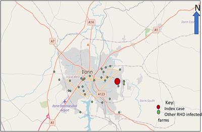 Preliminary Outbreak Investigation and Spatial Epidemiology of Rabbit Hemorrhagic Disease Outbreak in Nigeria